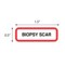 Nevs Position Labels - Biopsy Scar 1/2" x 1-1/2" White w/Red & Black XP-105 - alternate 2
